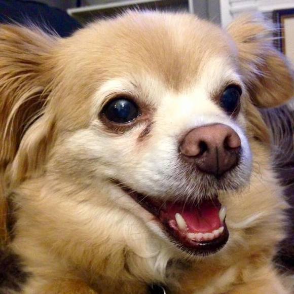 Meet your Posher, Rachael - Picture 1 of 1